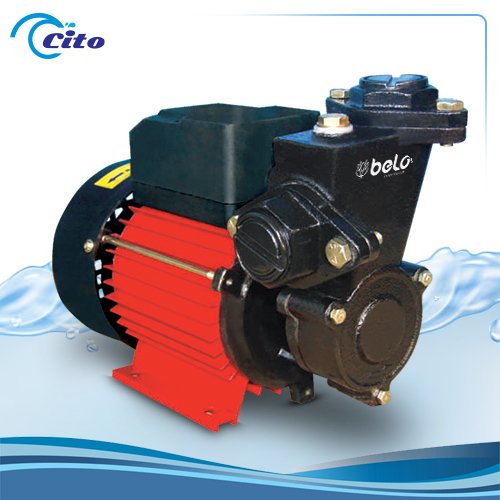 Self Priming Monobloc Pump (Cito)